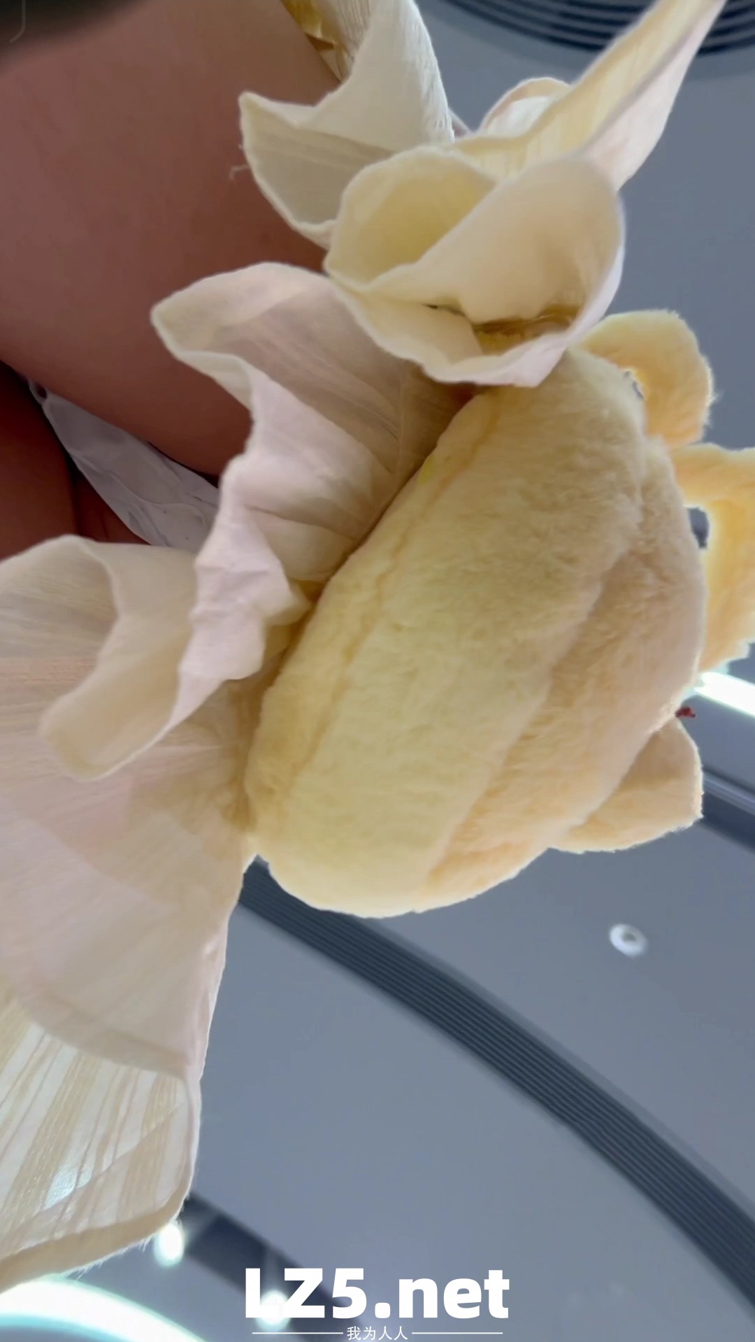 雙馬尾妹妹的裙底  (23P)
