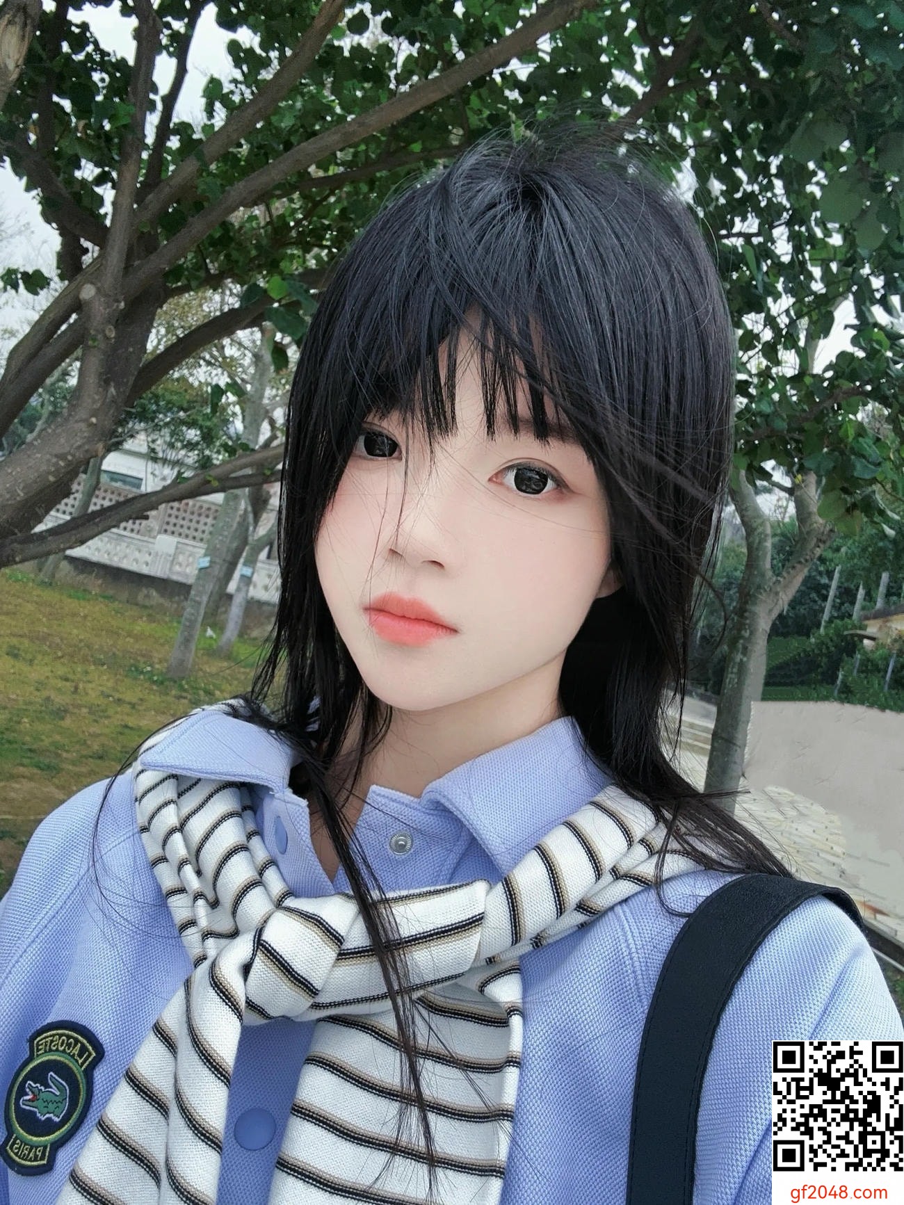 【網路收集系列】桜桃喵 - 藍 【20P】