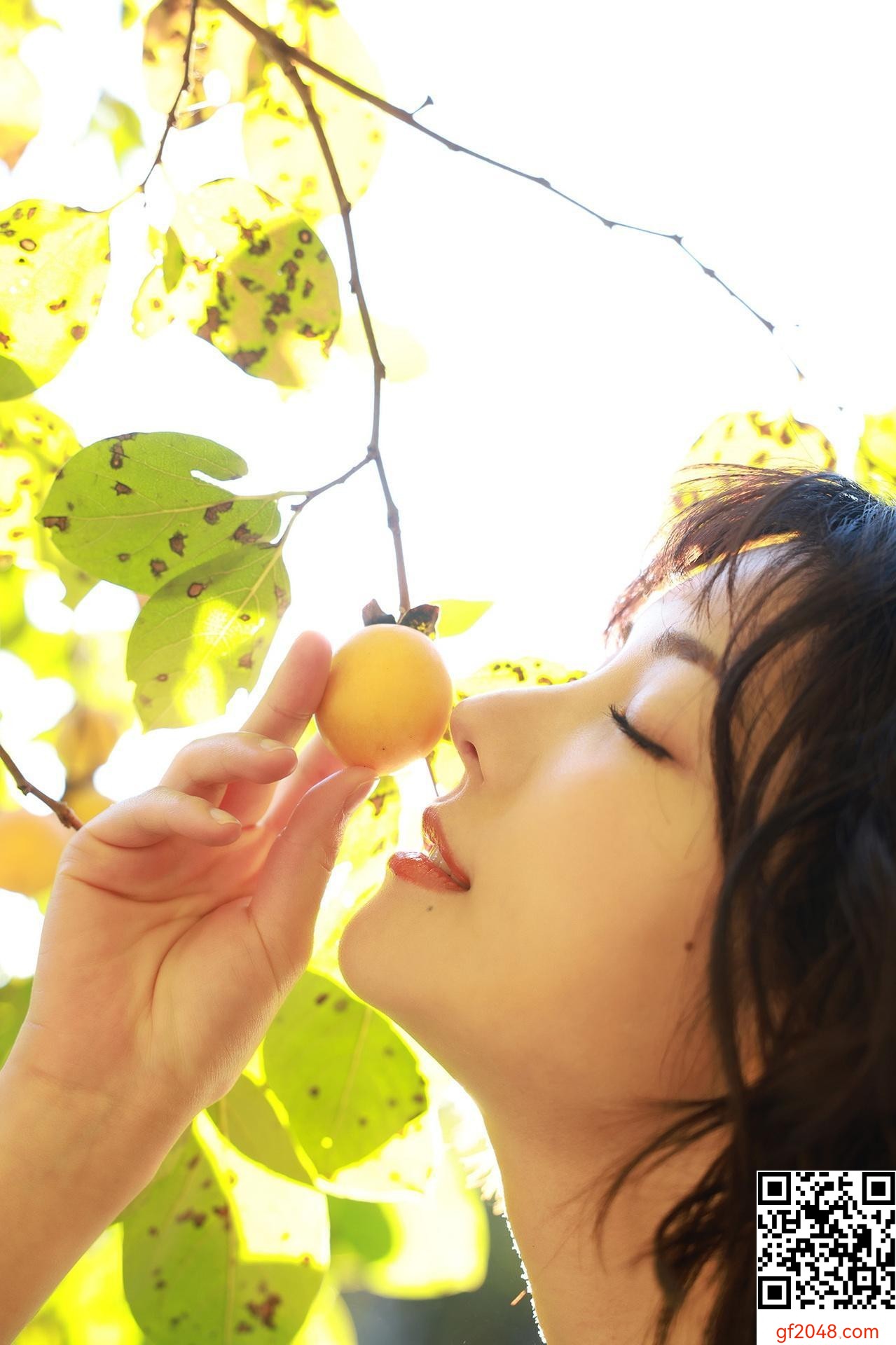 田中レモン SPLASH！ (97P)