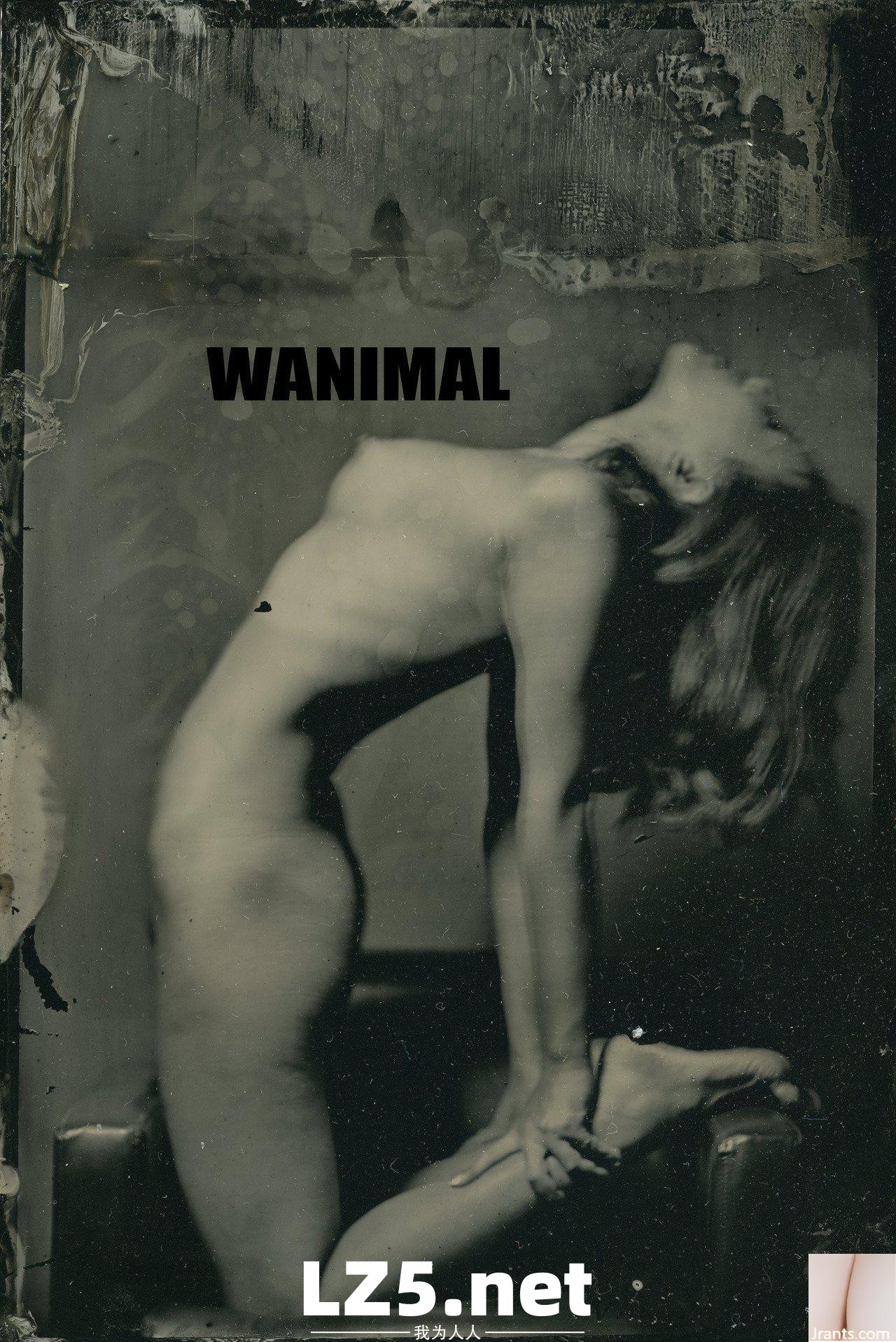 [王動作品] WANIMAL Tumblr寫真(119)  (50P)